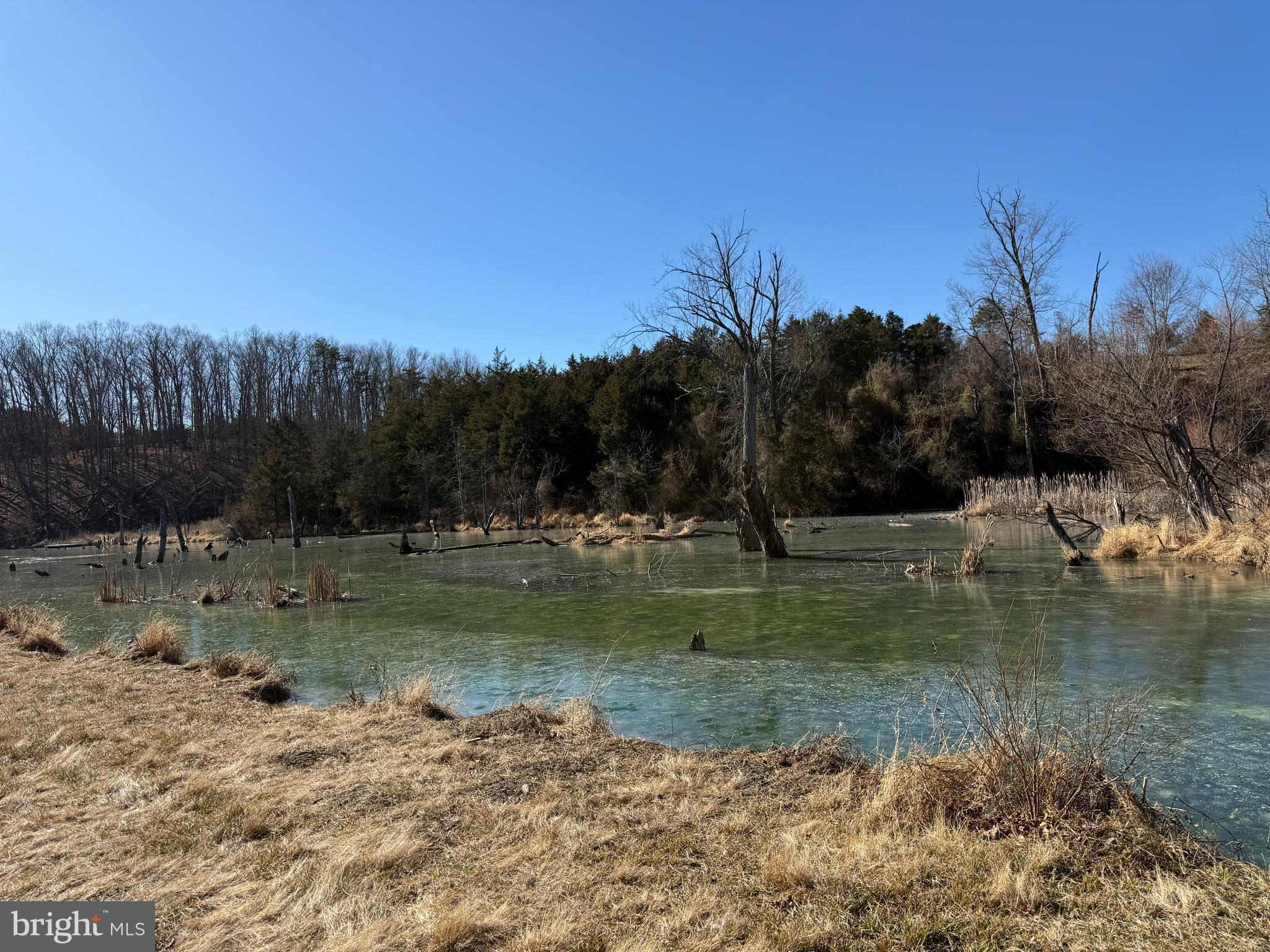 ESTATES AT LAKE JOHN - Residential