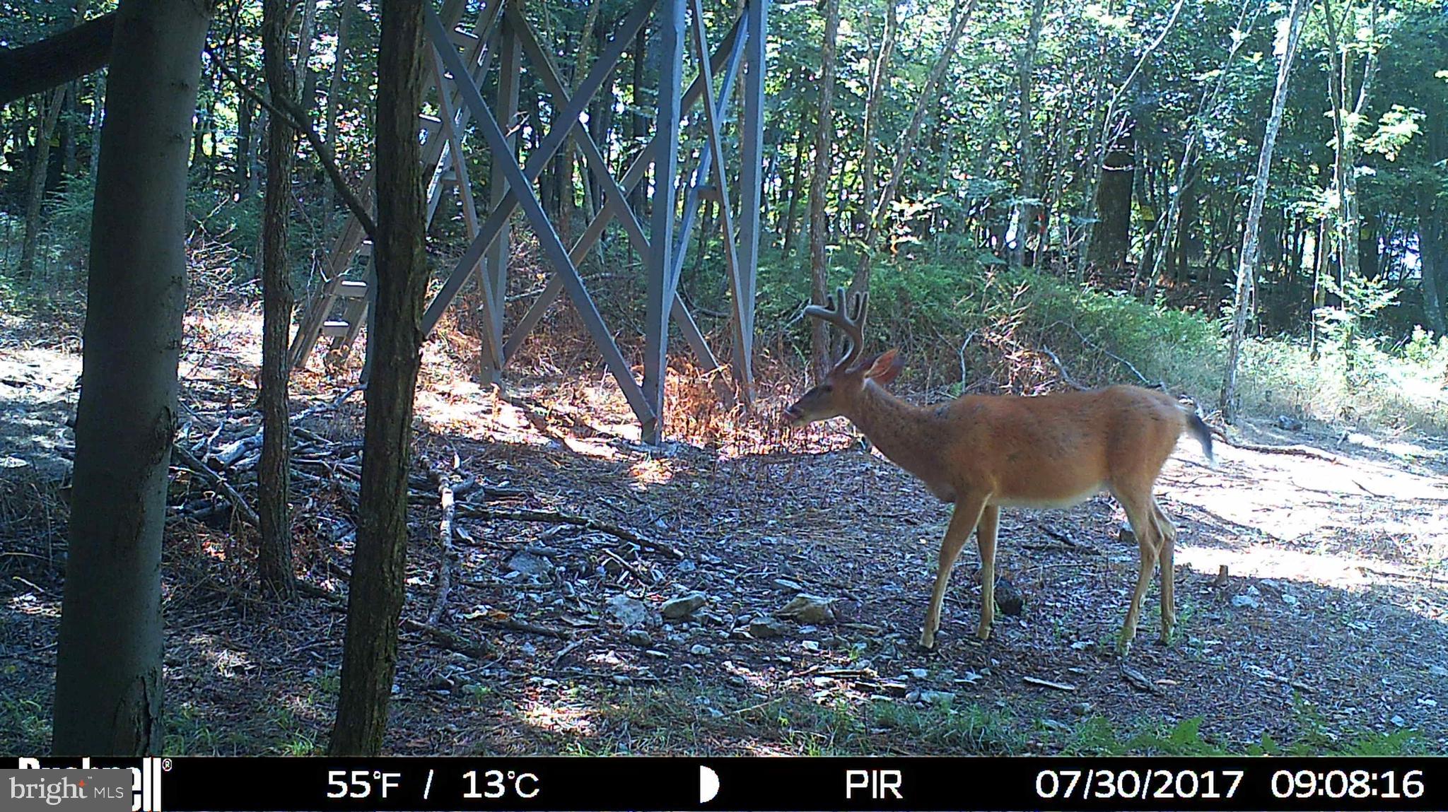 STONY MOUNTAIN LODGE - Land