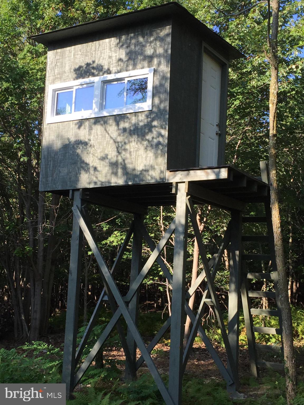 STONY MOUNTAIN LODGE - Land