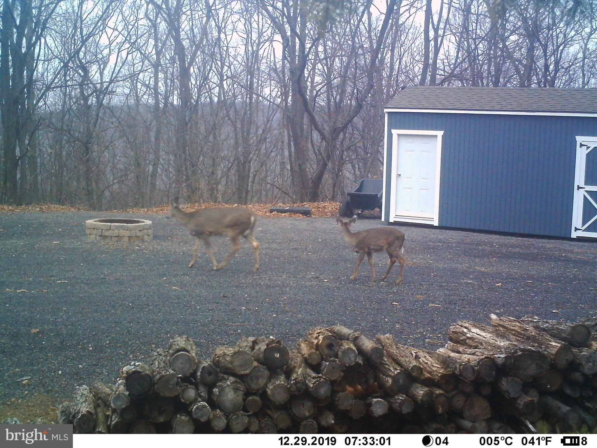 STONY MOUNTAIN LODGE - Land