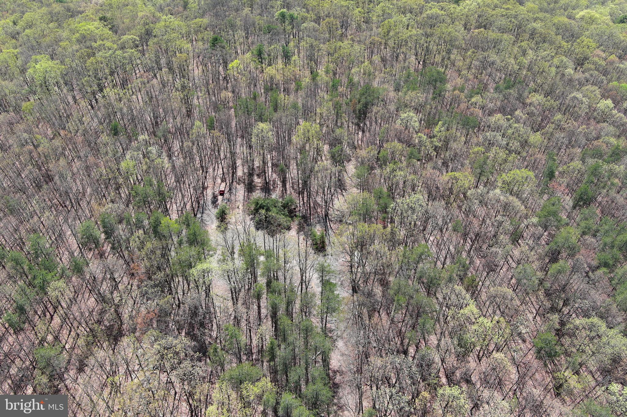 STONY MOUNTAIN LODGE - Land