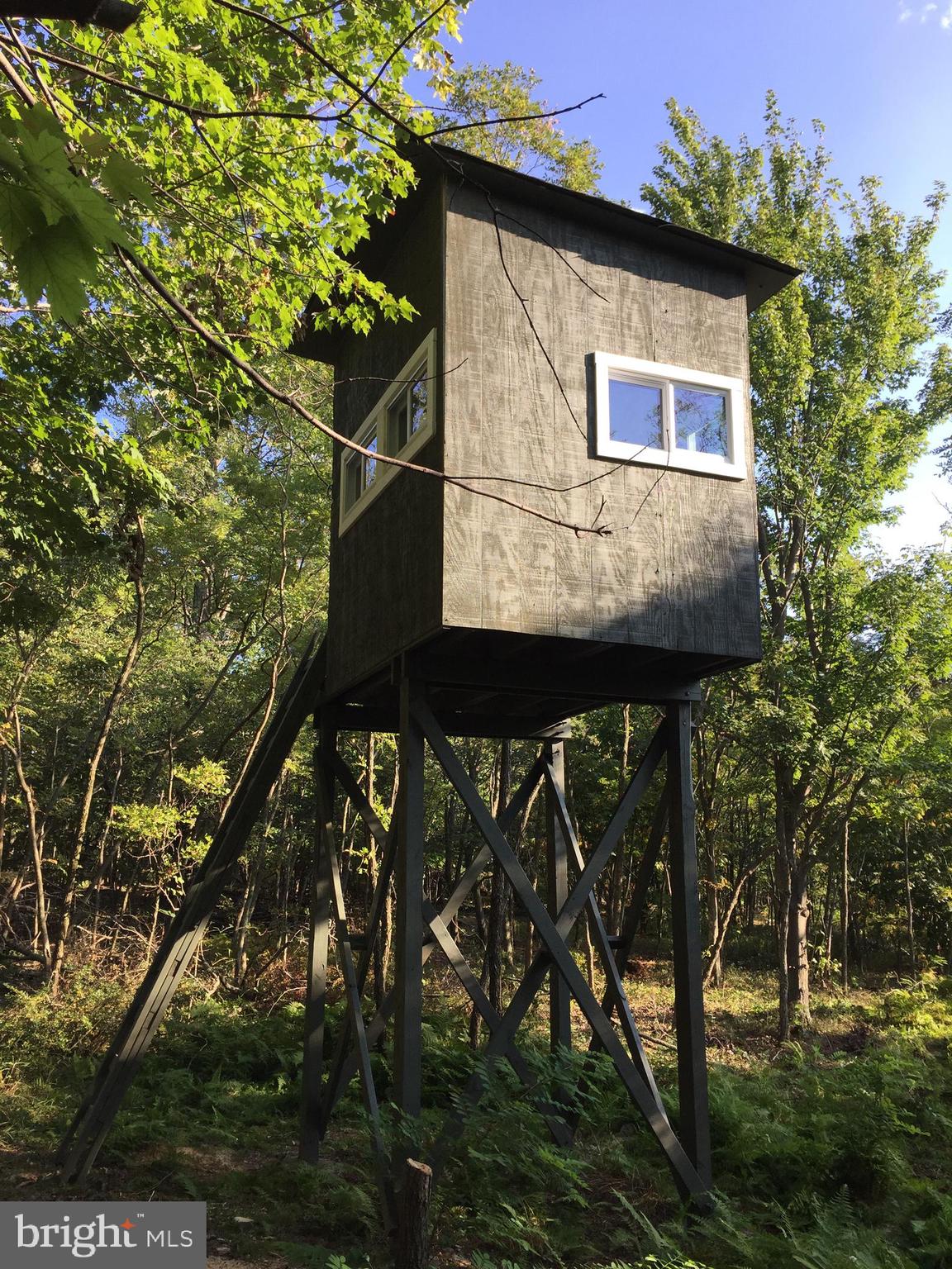 STONY MOUNTAIN LODGE - Land