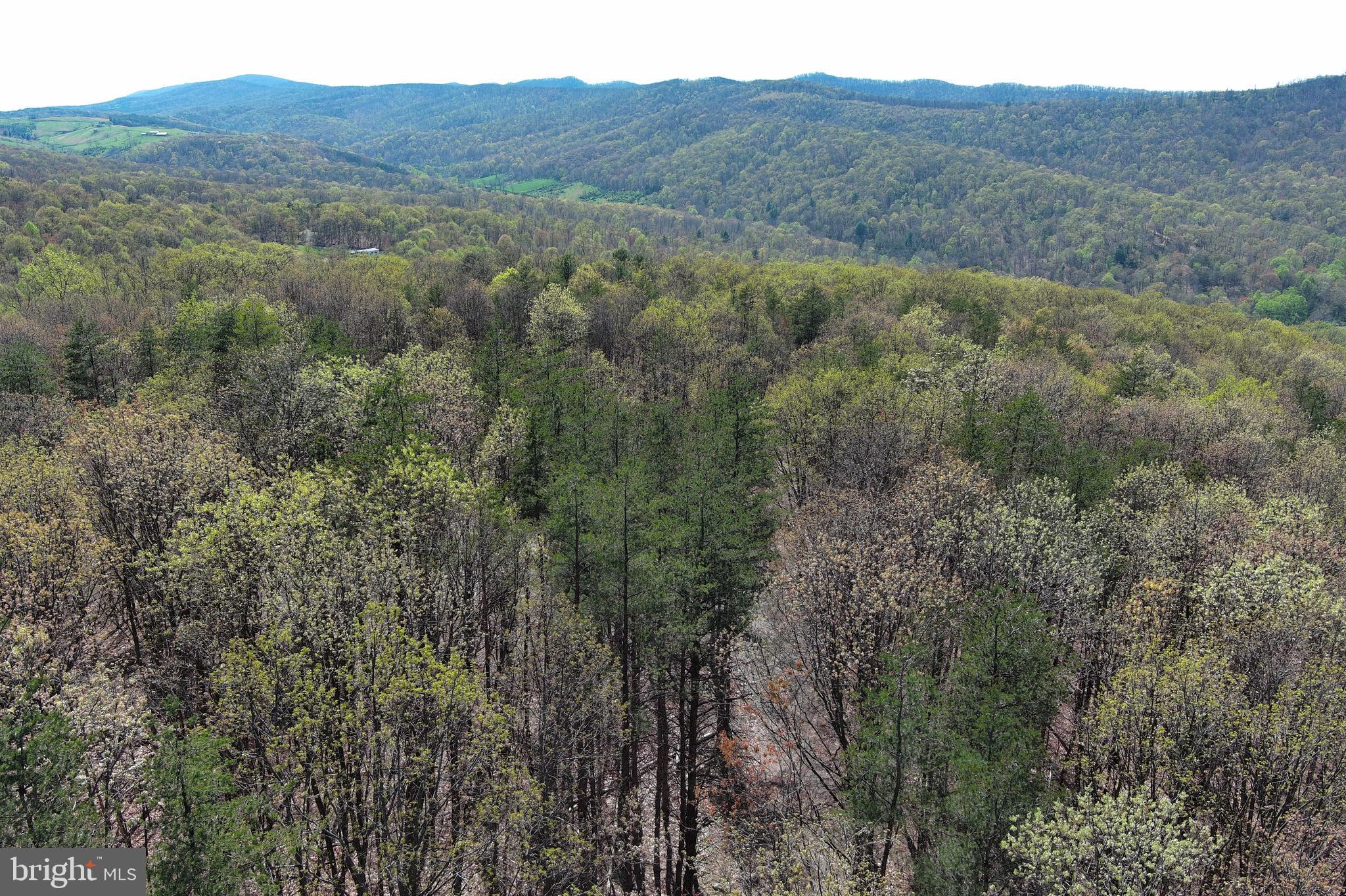 STONY MOUNTAIN LODGE - Land