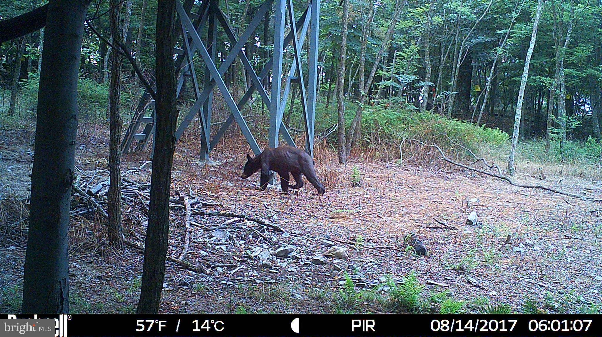 STONY MOUNTAIN LODGE - Land