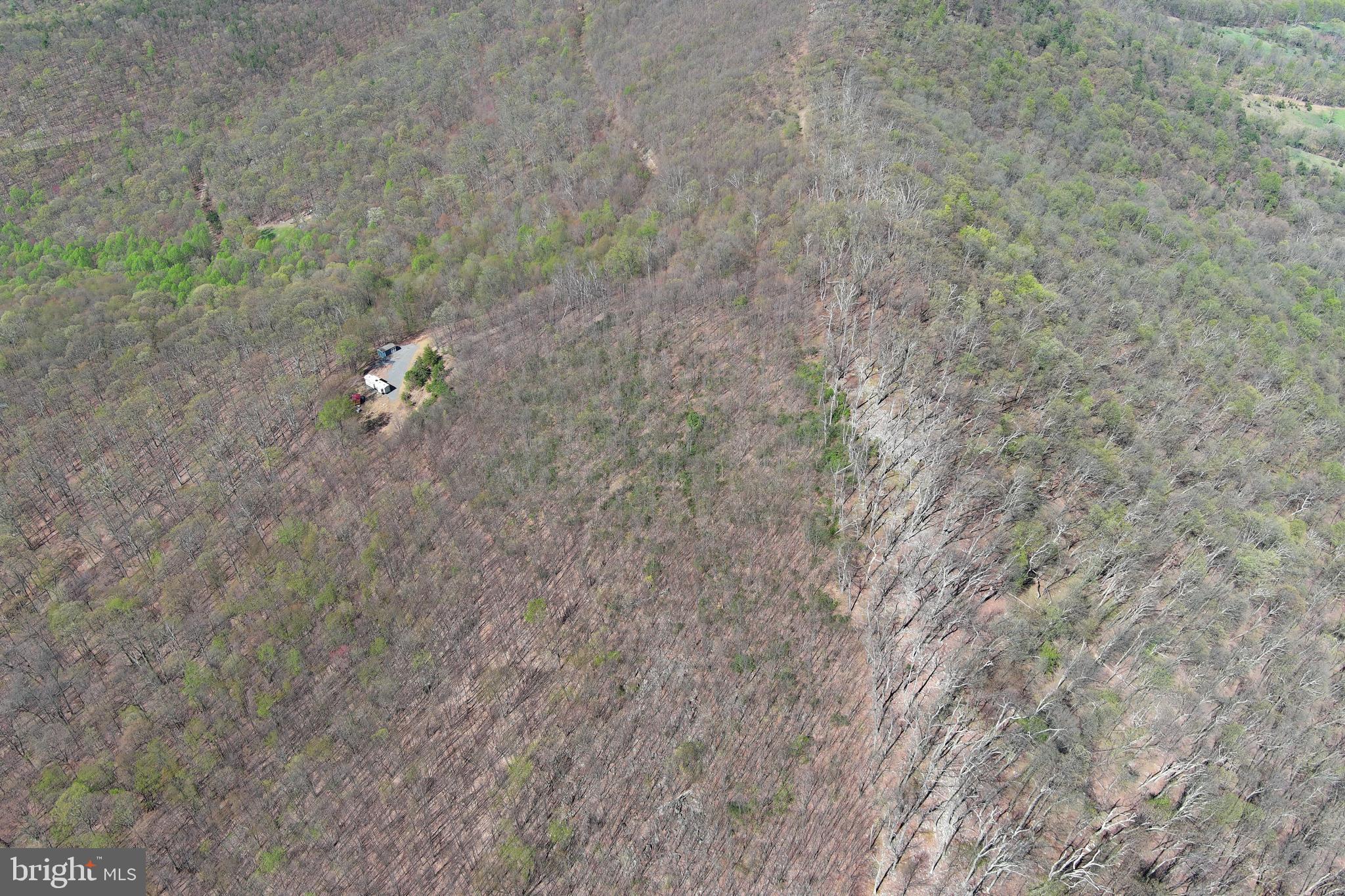 STONY MOUNTAIN LODGE - Land