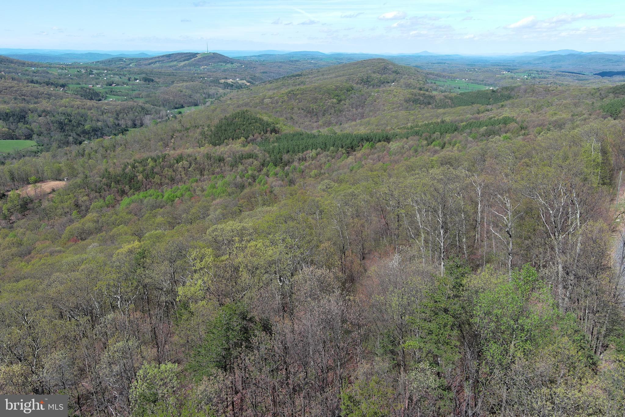 STONY MOUNTAIN LODGE - Land