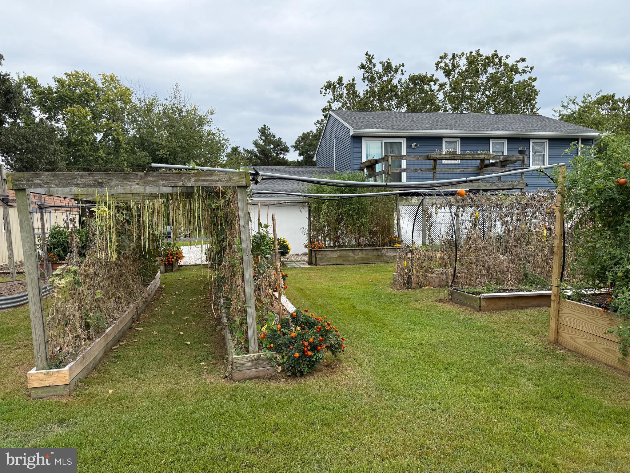 JENKINS CREEK - Residential