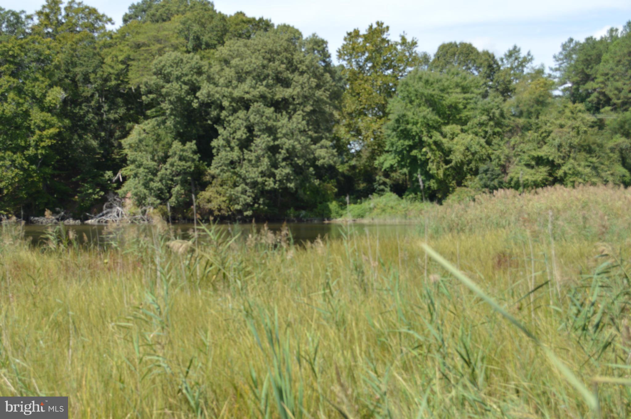 CENTREVILLE - Residential