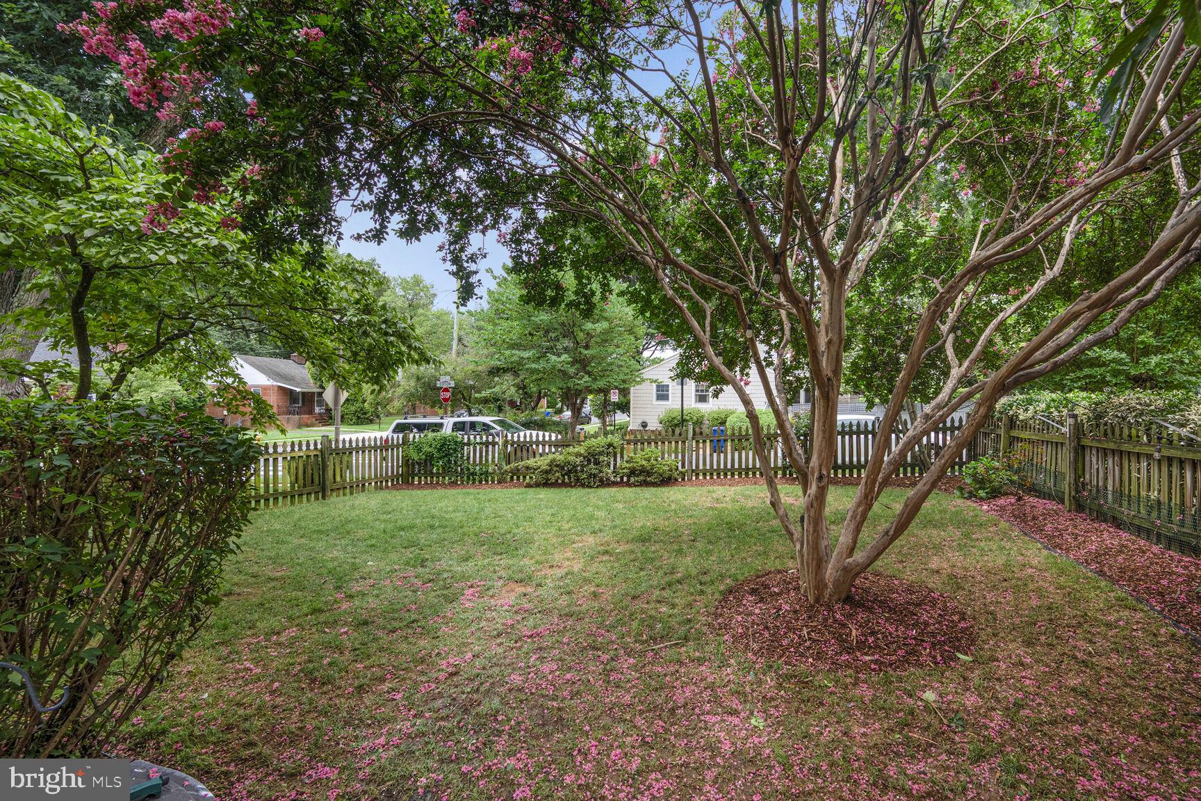 LACEY FOREST - Residential