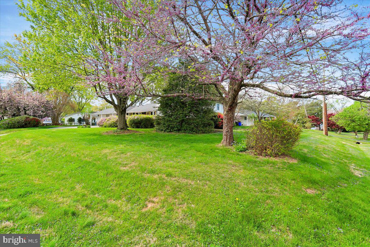 MILL CREEK TOWNE - Residential