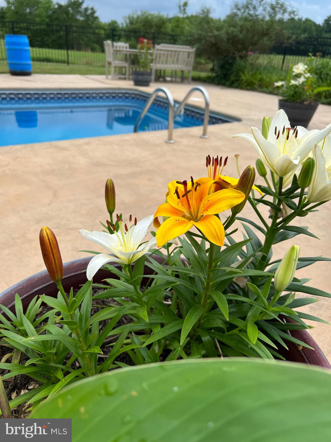 NONE AVAILABLE - Farm