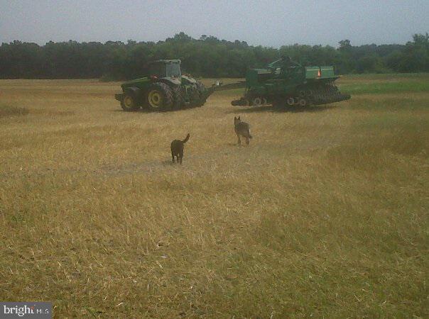 NONE AVAILABLE - Farm