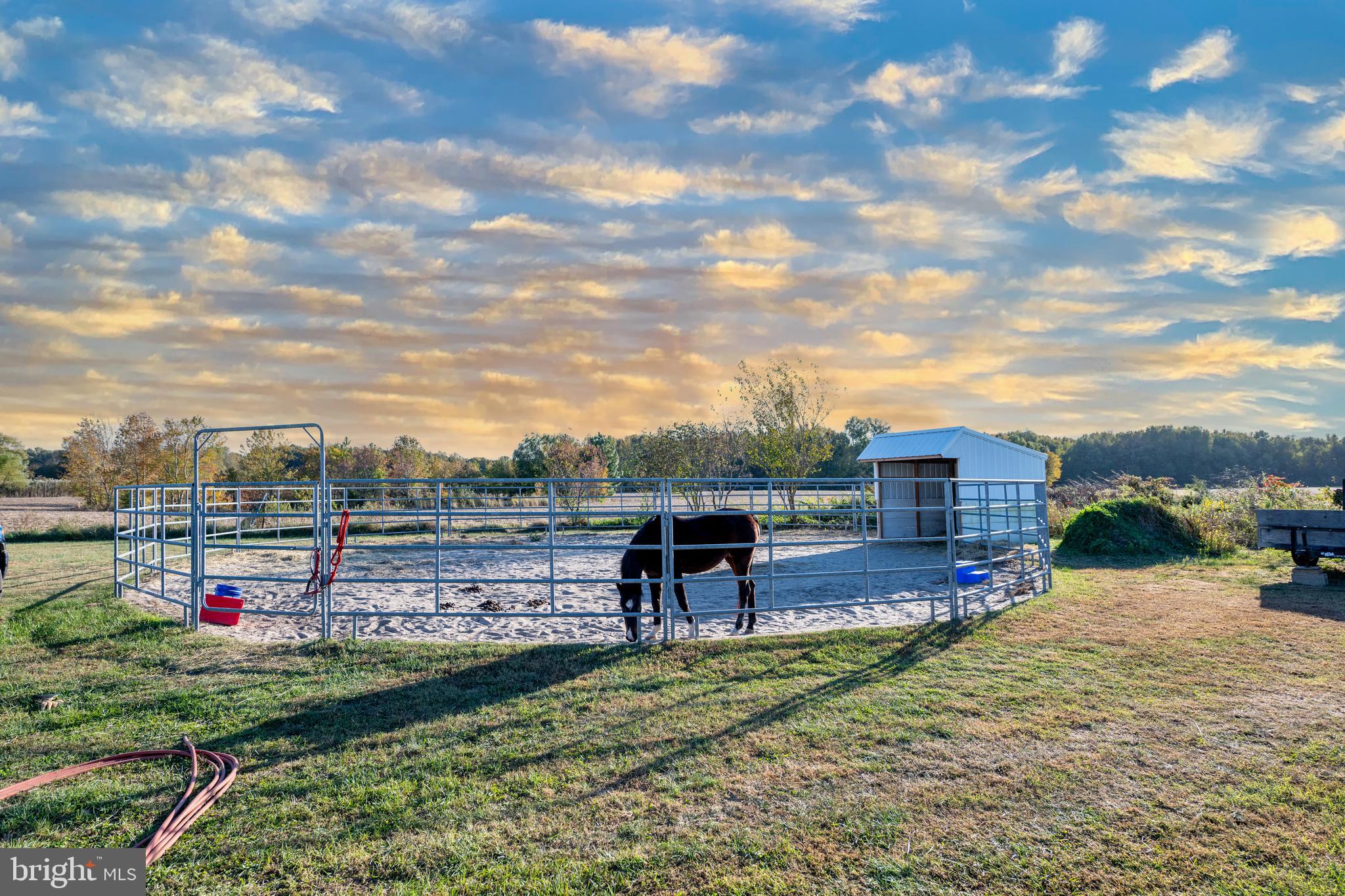 NONE AVAILABLE - Farm