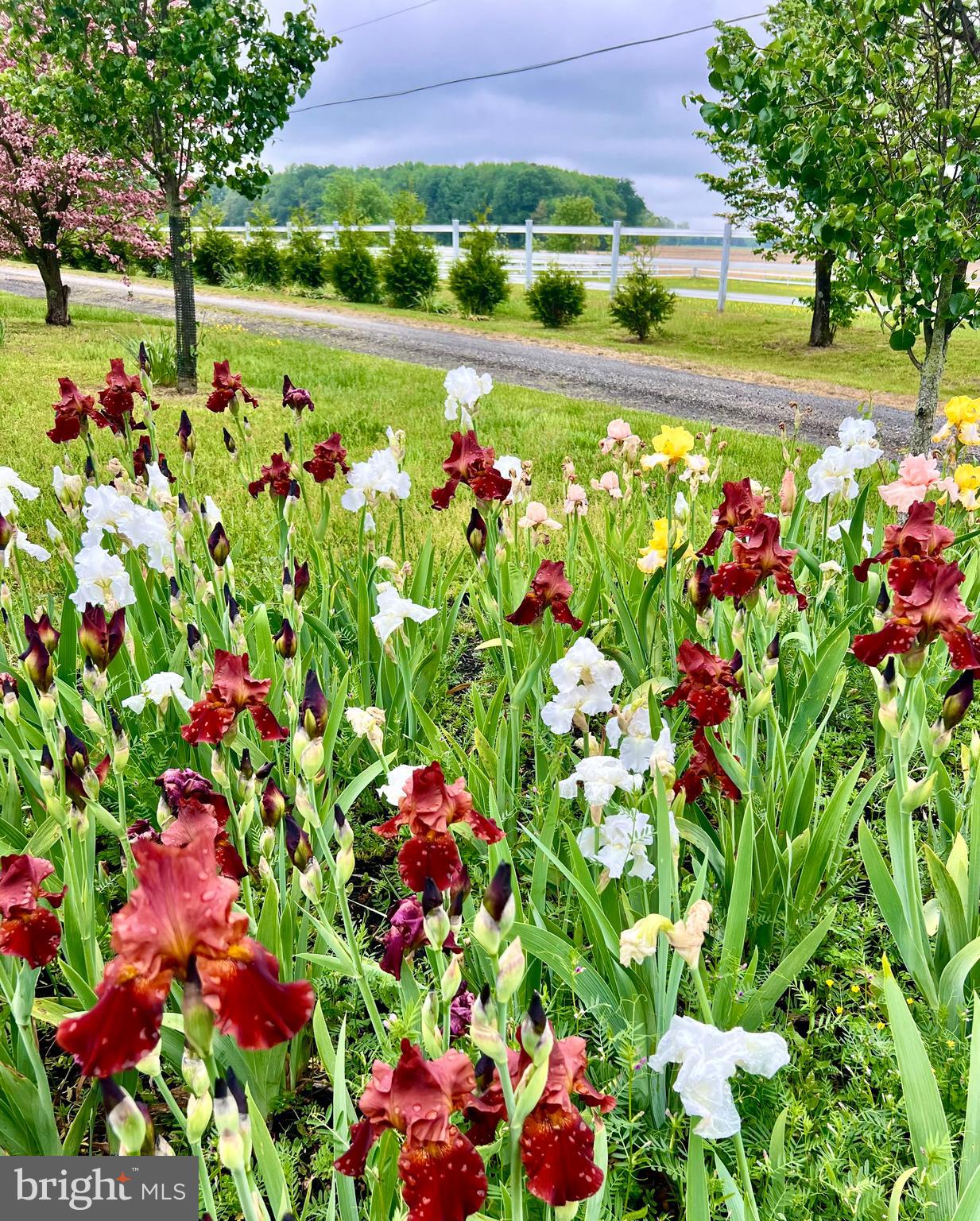 NONE AVAILABLE - Farm