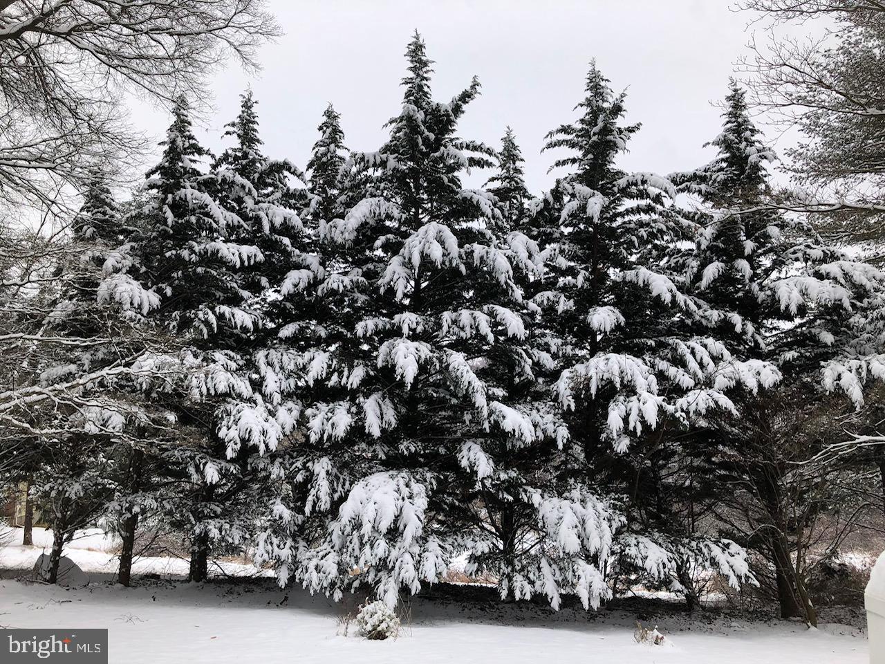 VALE HILLS - Residential