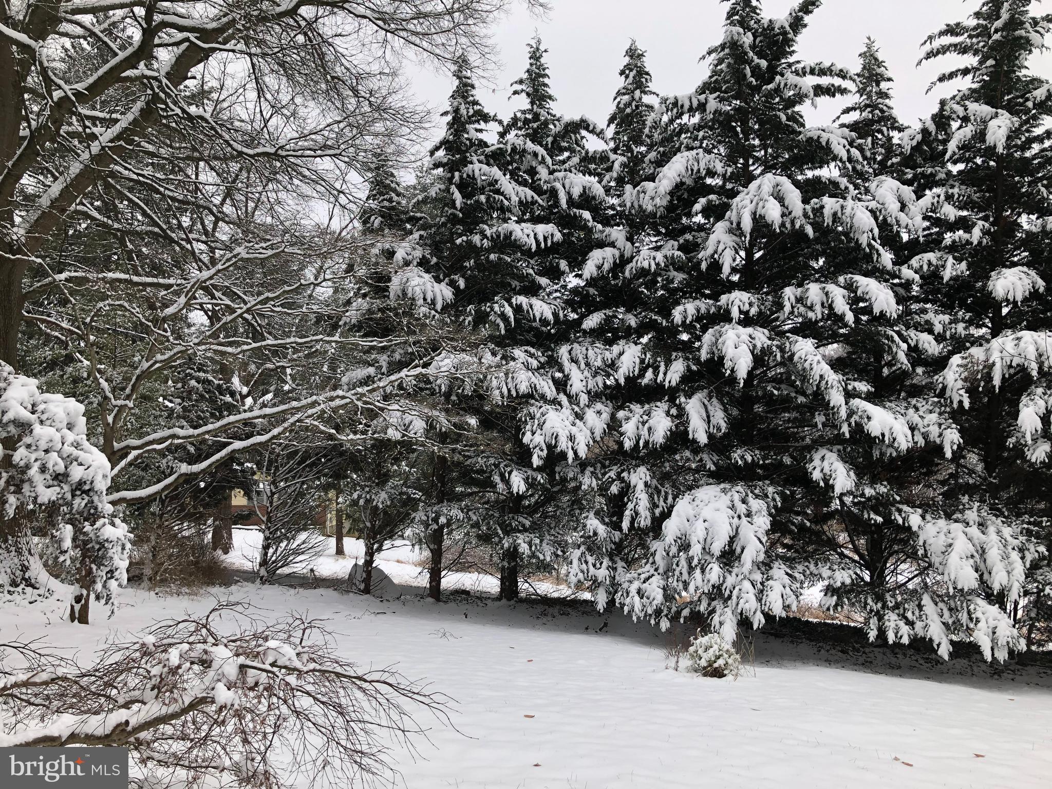 VALE HILLS - Residential