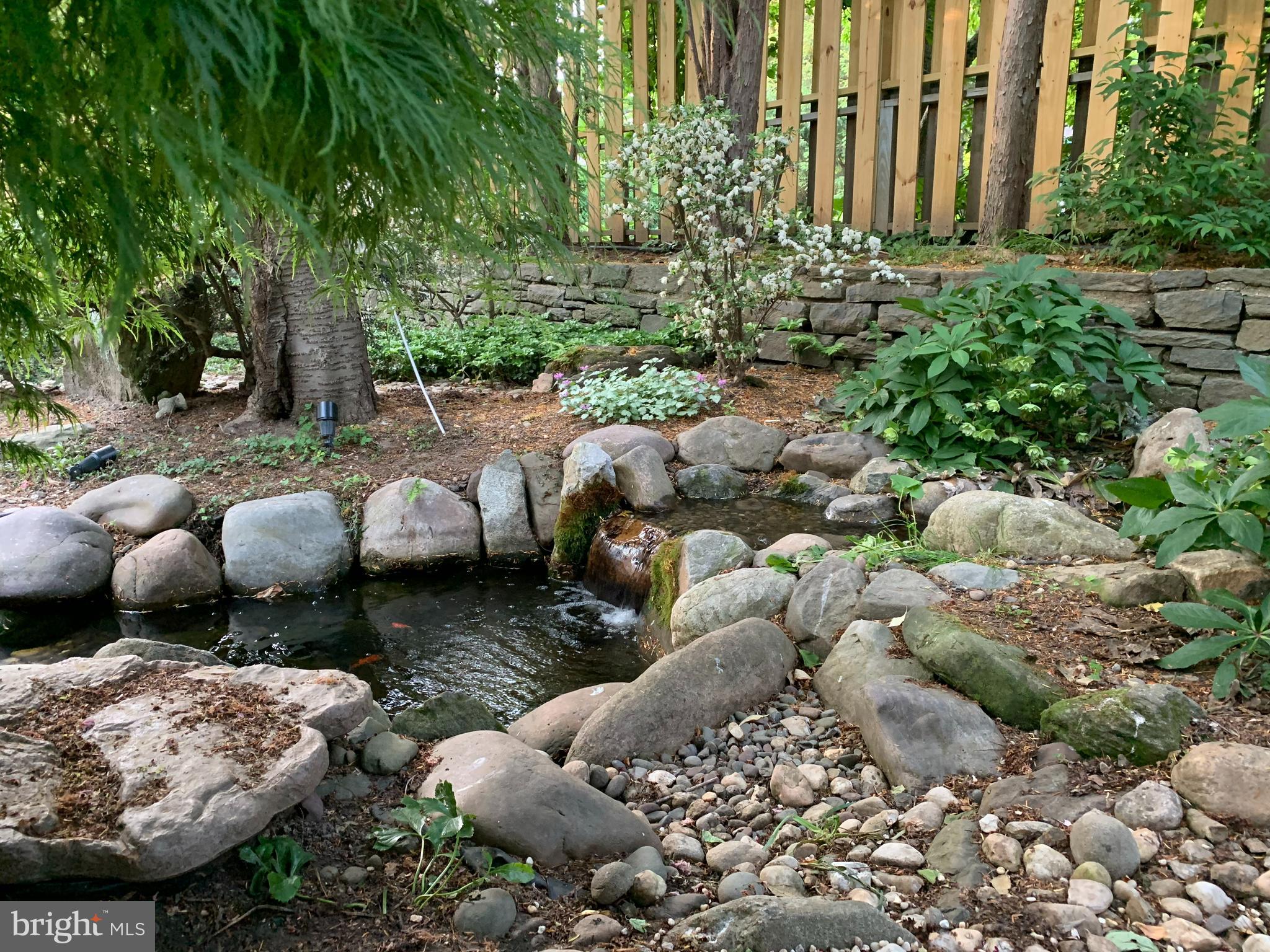 CHESTNUT HILL - Residential