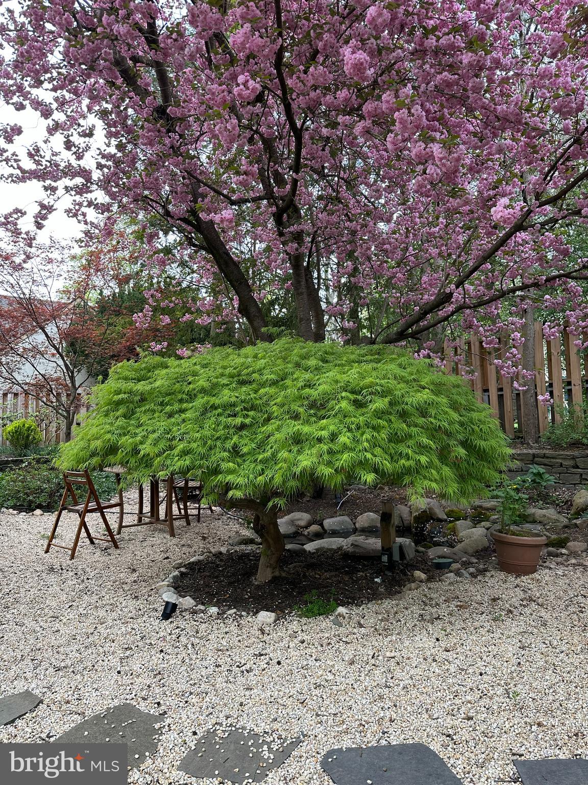 CHESTNUT HILL - Residential