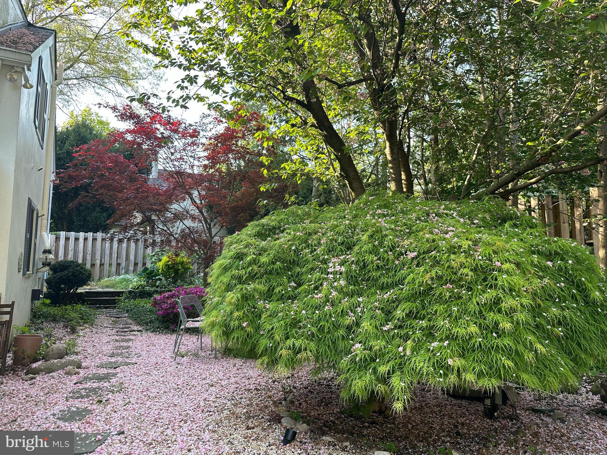 CHESTNUT HILL - Residential