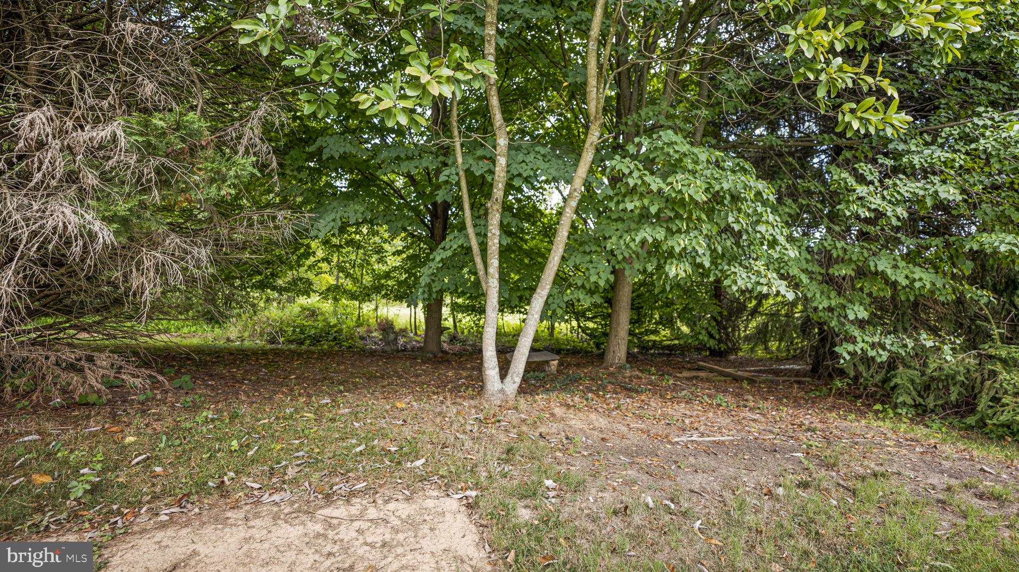 SENECA CROSSING - Residential