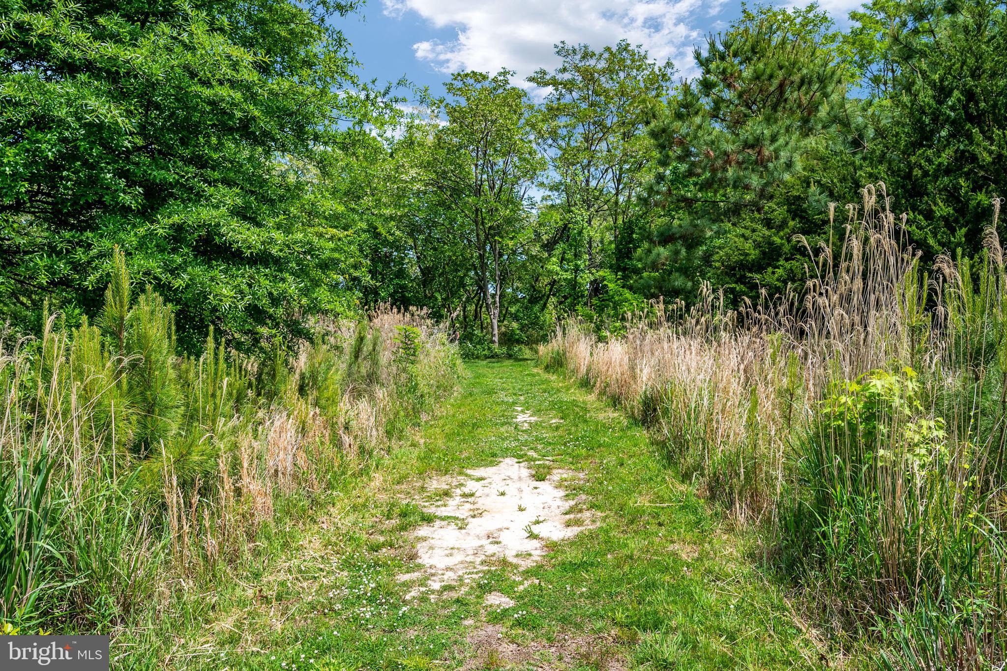 FOUR SEASONS AT KENT ISLAND - Residential