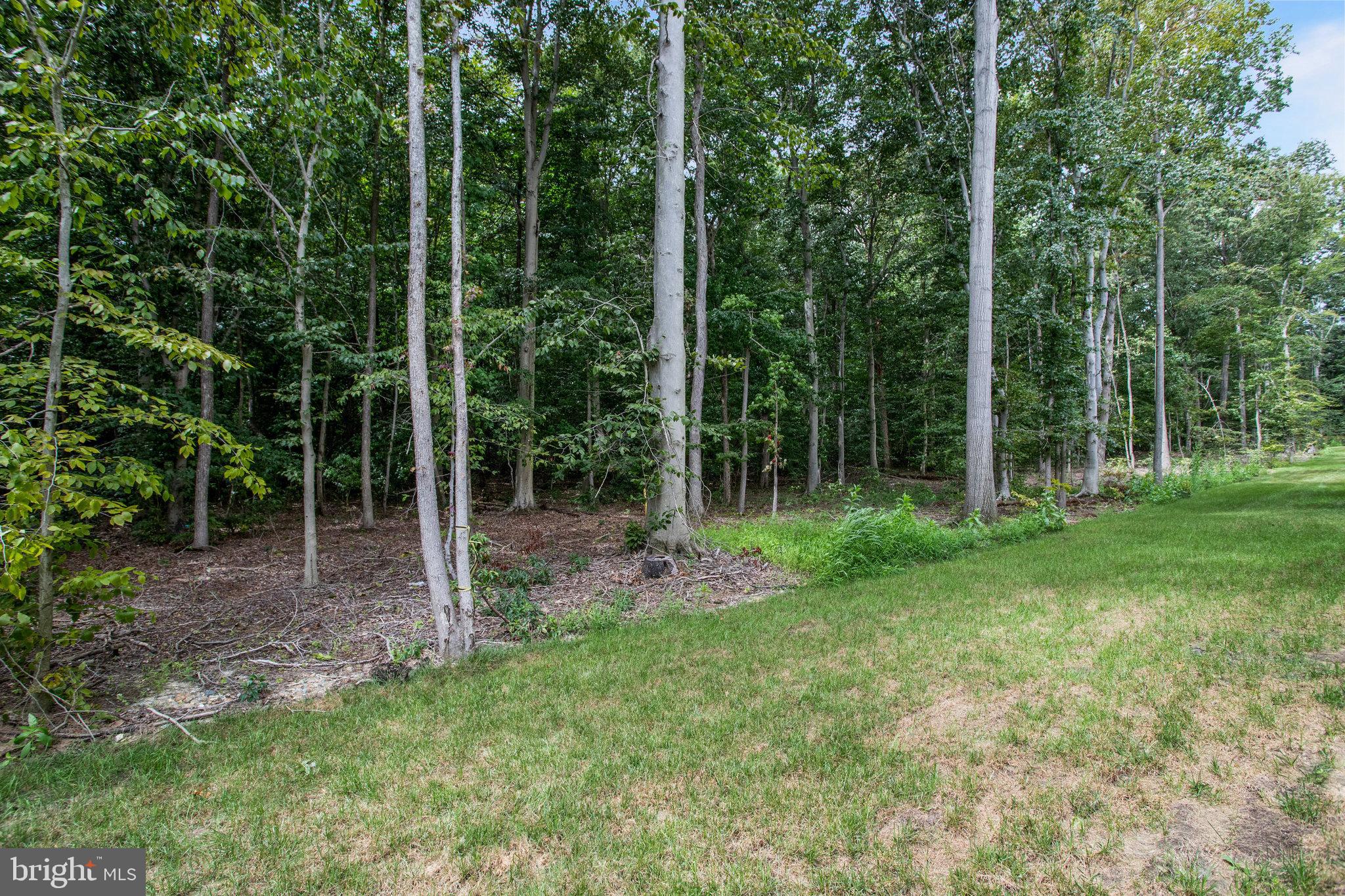 NORTHWOODS - Residential