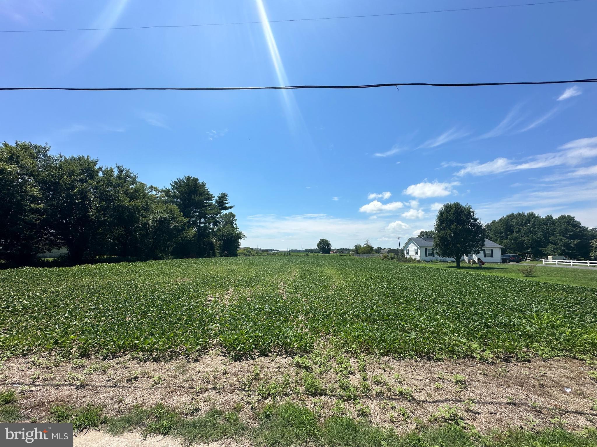 Unknown, CLAYTON AVE.