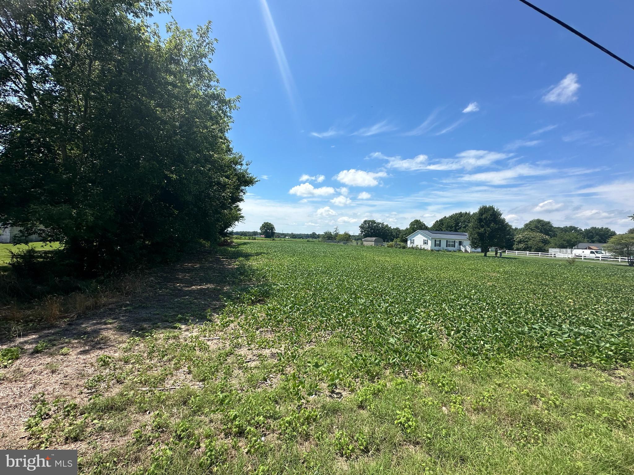 Unknown, CLAYTON AVE.