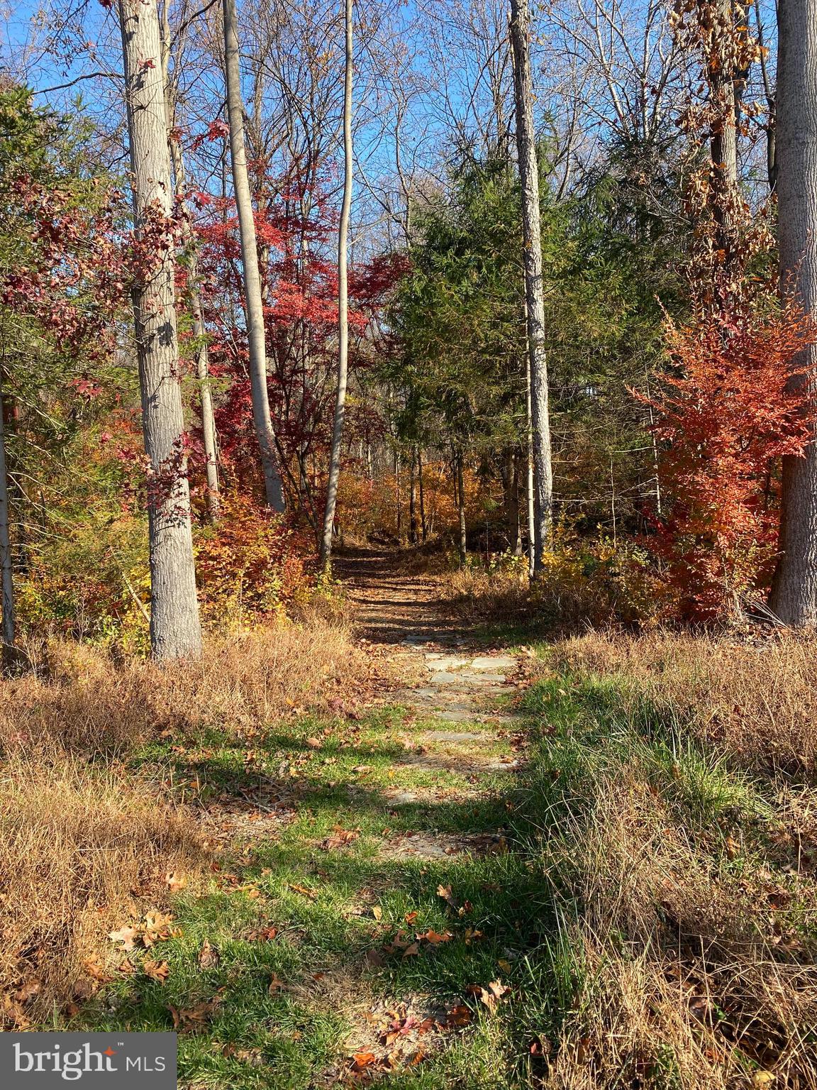 KALMIA FARMS - Residential