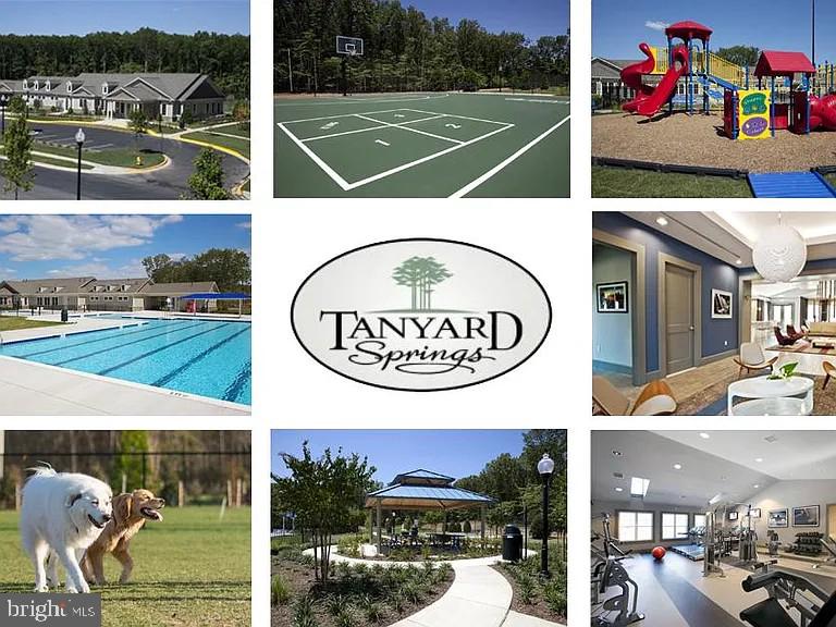TANYARD SPRINGS - Residential Lease