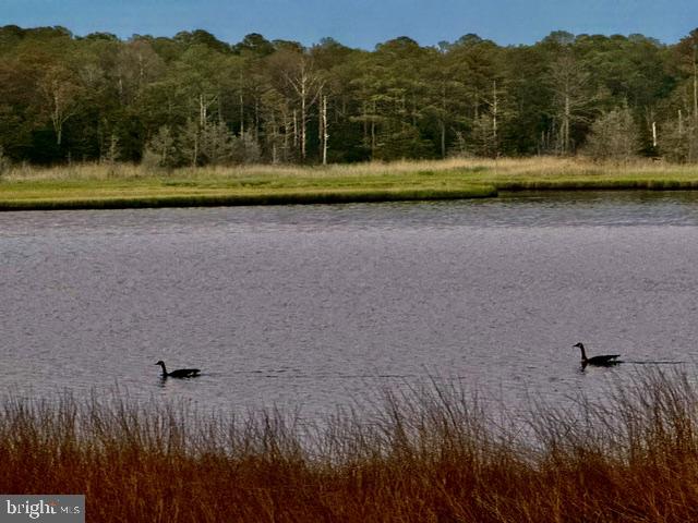 GLEN RIDDLE - Land