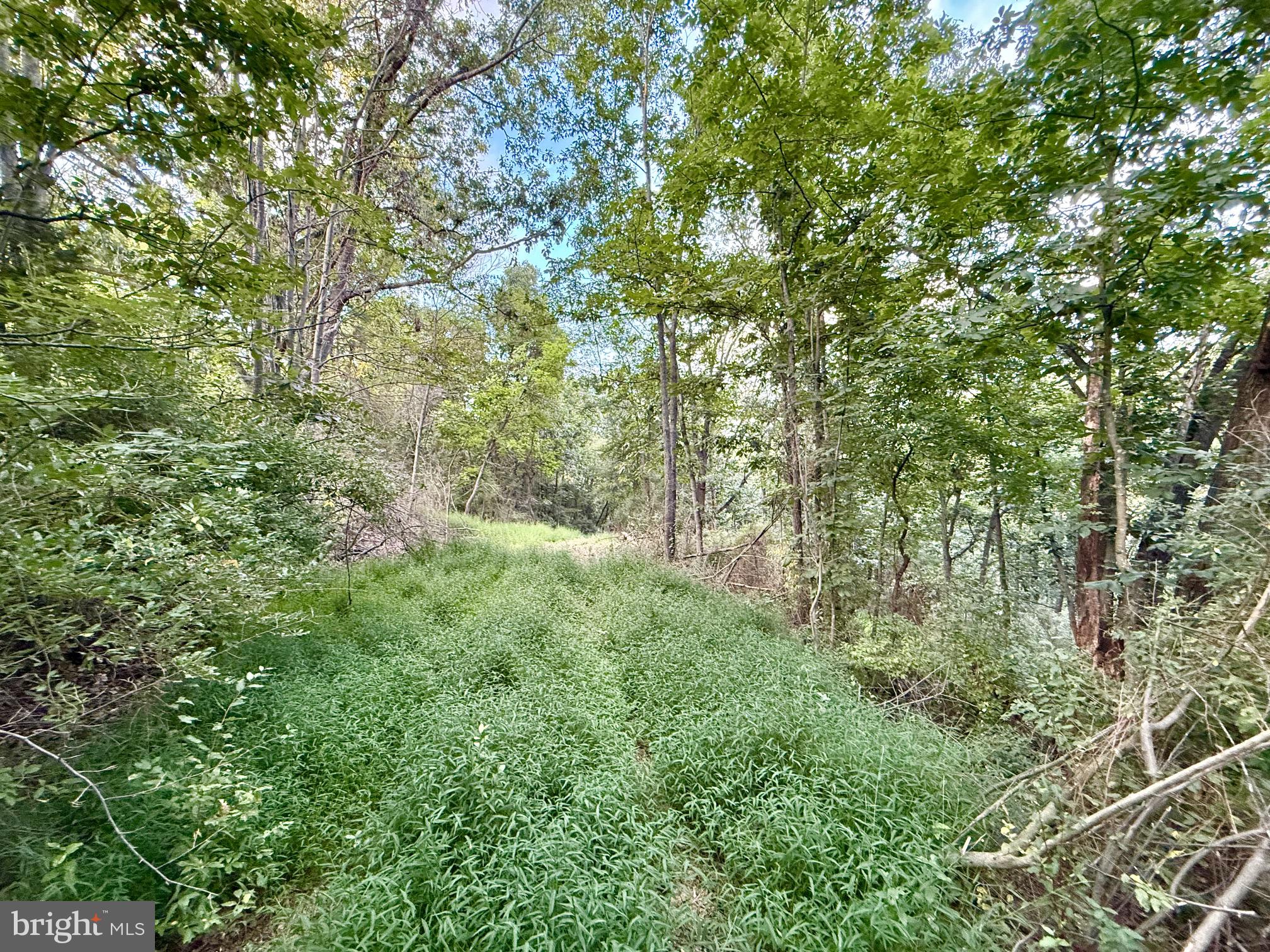 Lot 11 SMITH HEIGHTS