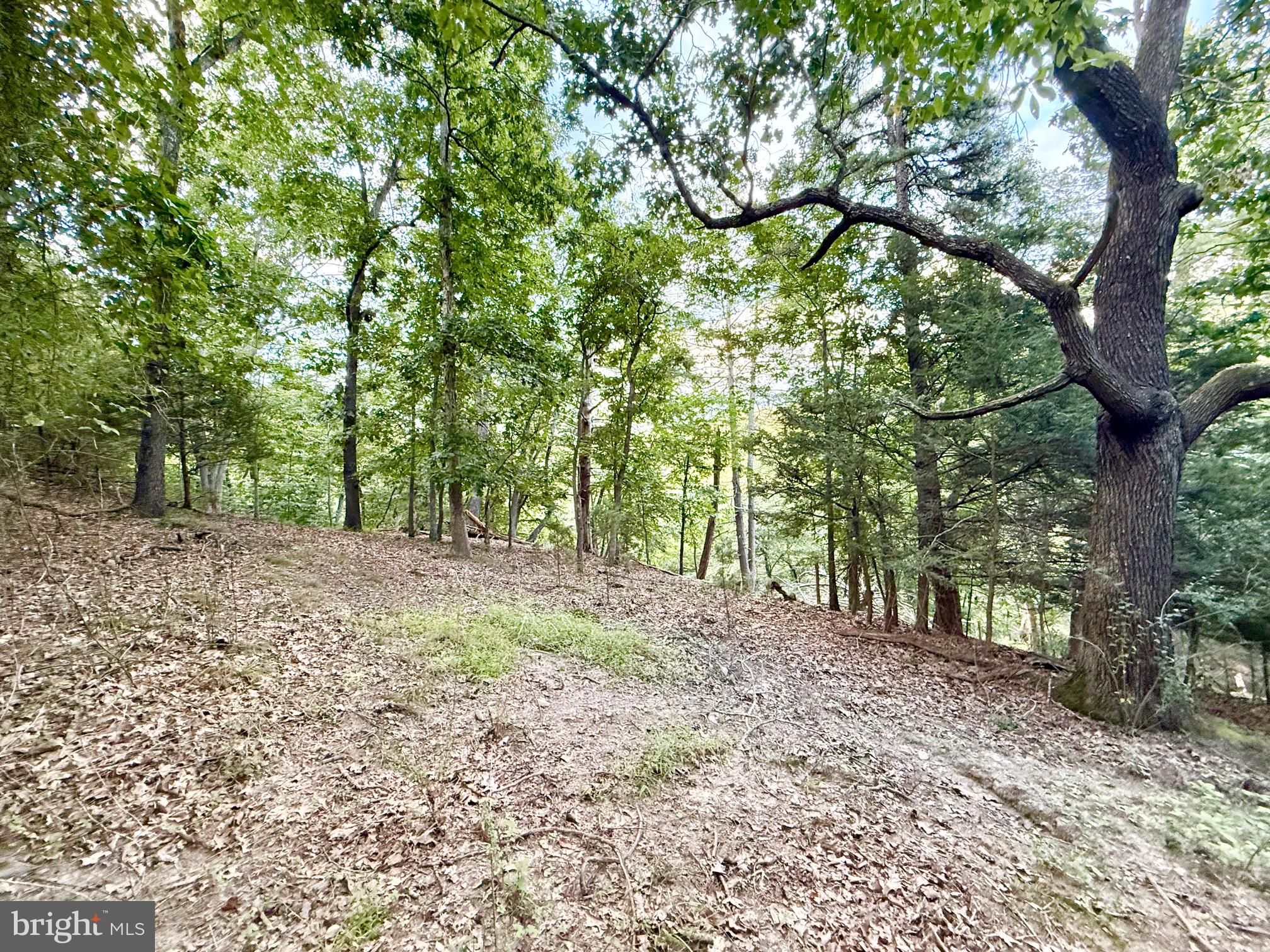 Lot 11 SMITH HEIGHTS