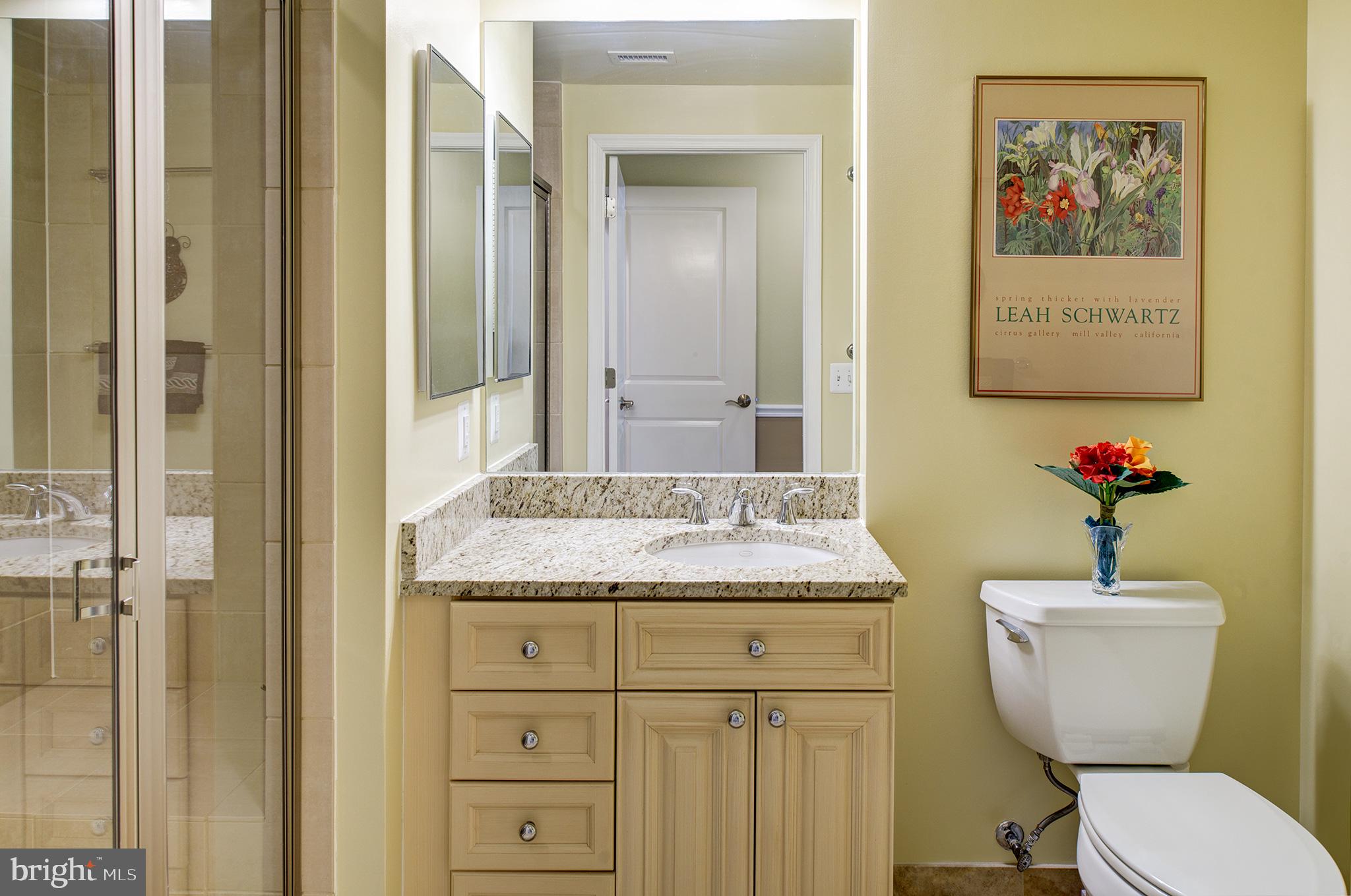 MIDTOWN AT RESTON TOWN CENTER - Residential