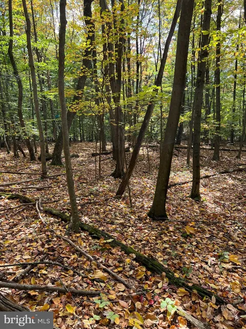 1975 Mountain Lane, Fairfield, PA MLS: PAAD2015038