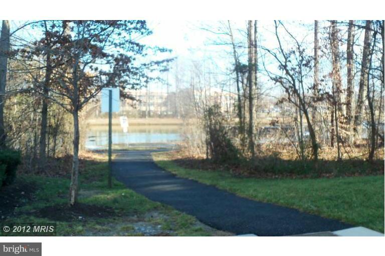 BOWIE TOWERS - Residential Lease