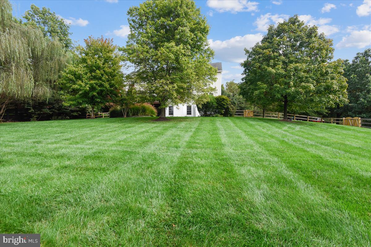 STUART HILLS - Residential