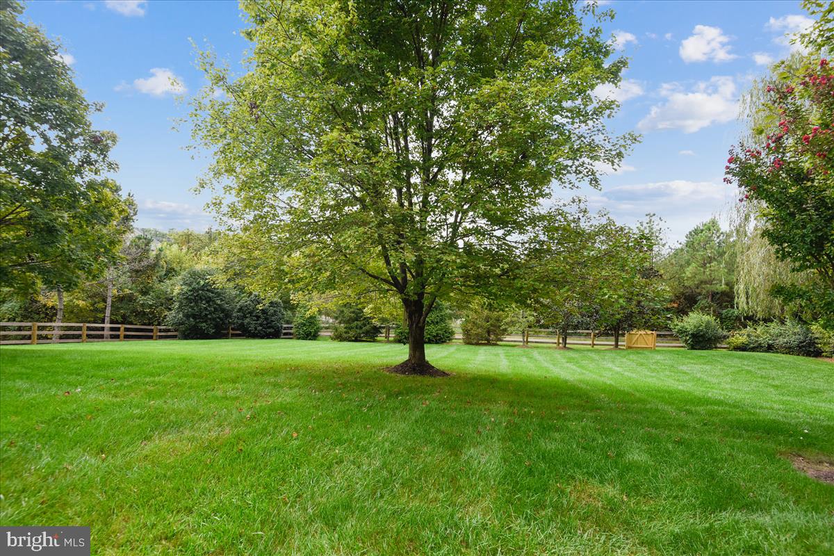 STUART HILLS - Residential