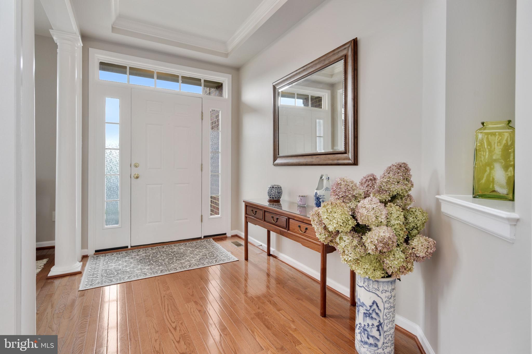 ELLICOTT MEADOWS - Residential