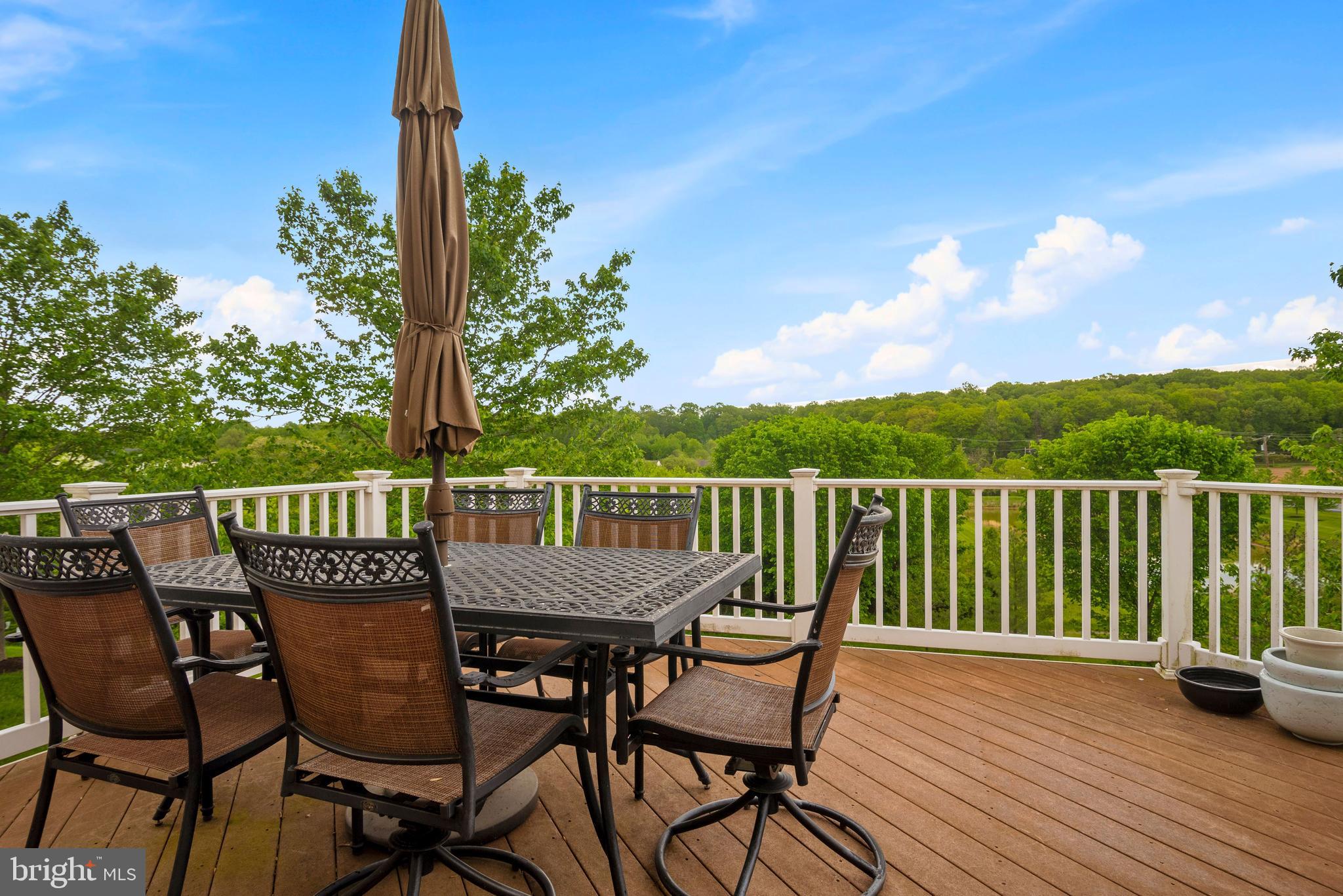 ELLICOTT MEADOWS - Residential