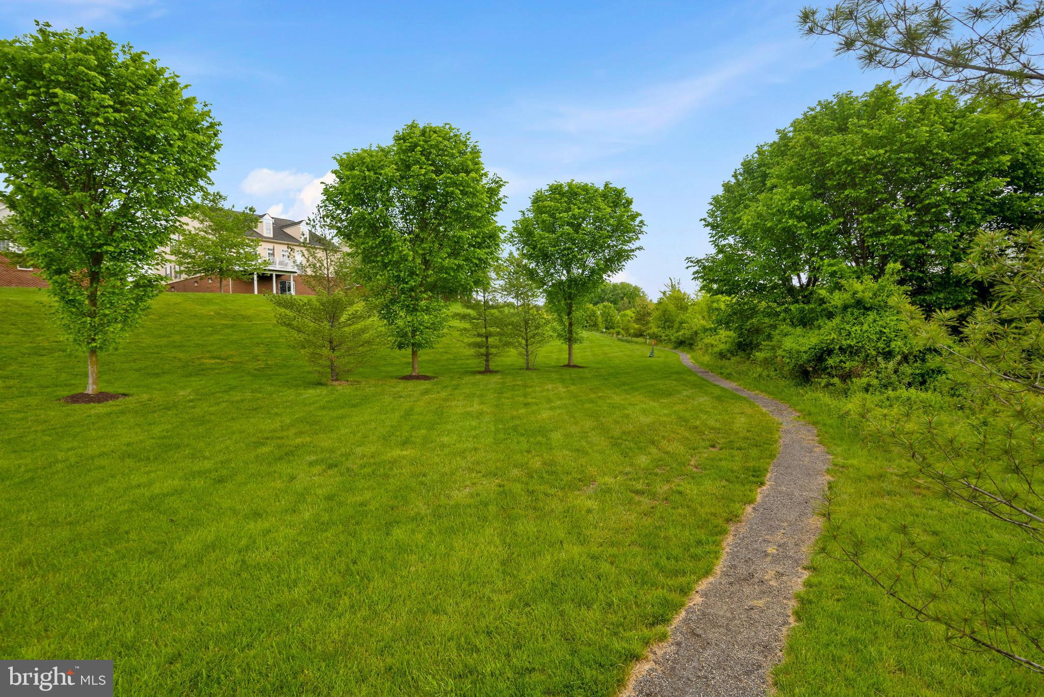 ELLICOTT MEADOWS - Residential