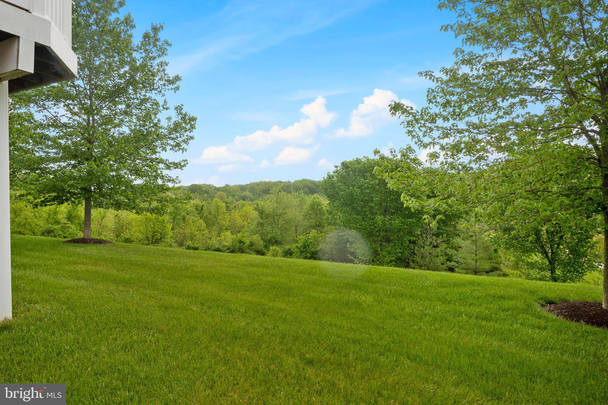 ELLICOTT MEADOWS - Residential