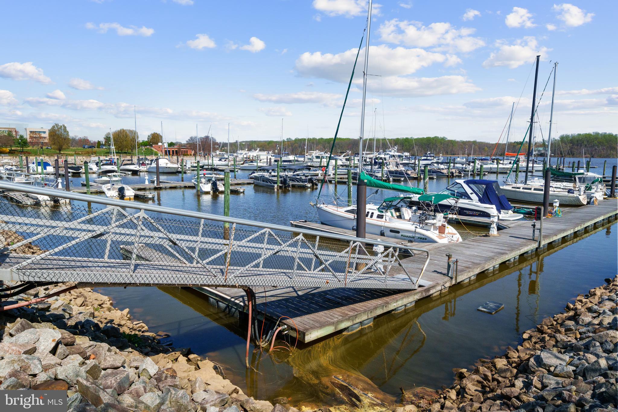 BELMONT BAY - Residential
