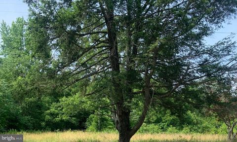 Vacant Land For Sale - 11900 Post Oak Road<br/> SPOTSYLVANIA, VA 22551