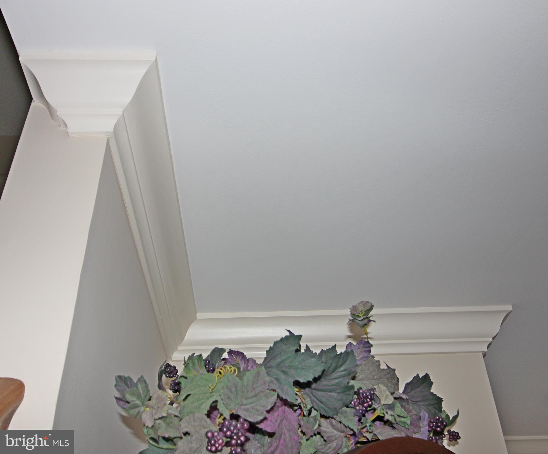 ROTHSVILLE STATION - Residential