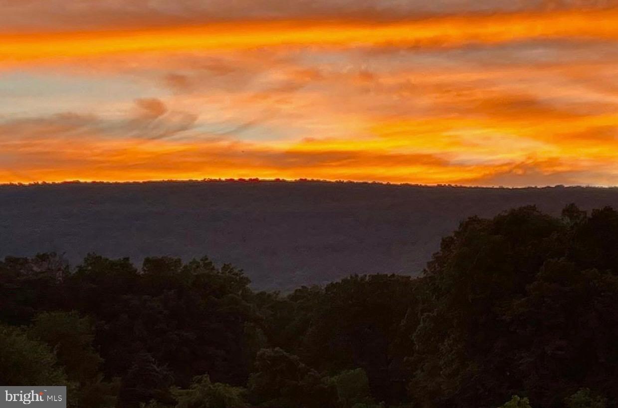 FOREST HAVEN - Residential