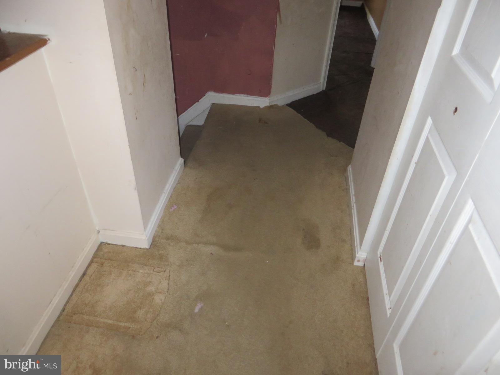 ADDISON WOODS PLAT 2 - Residential