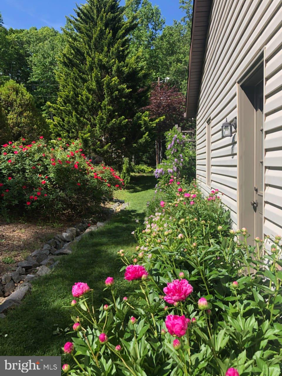 LAKE OF THE WOODS - Residential