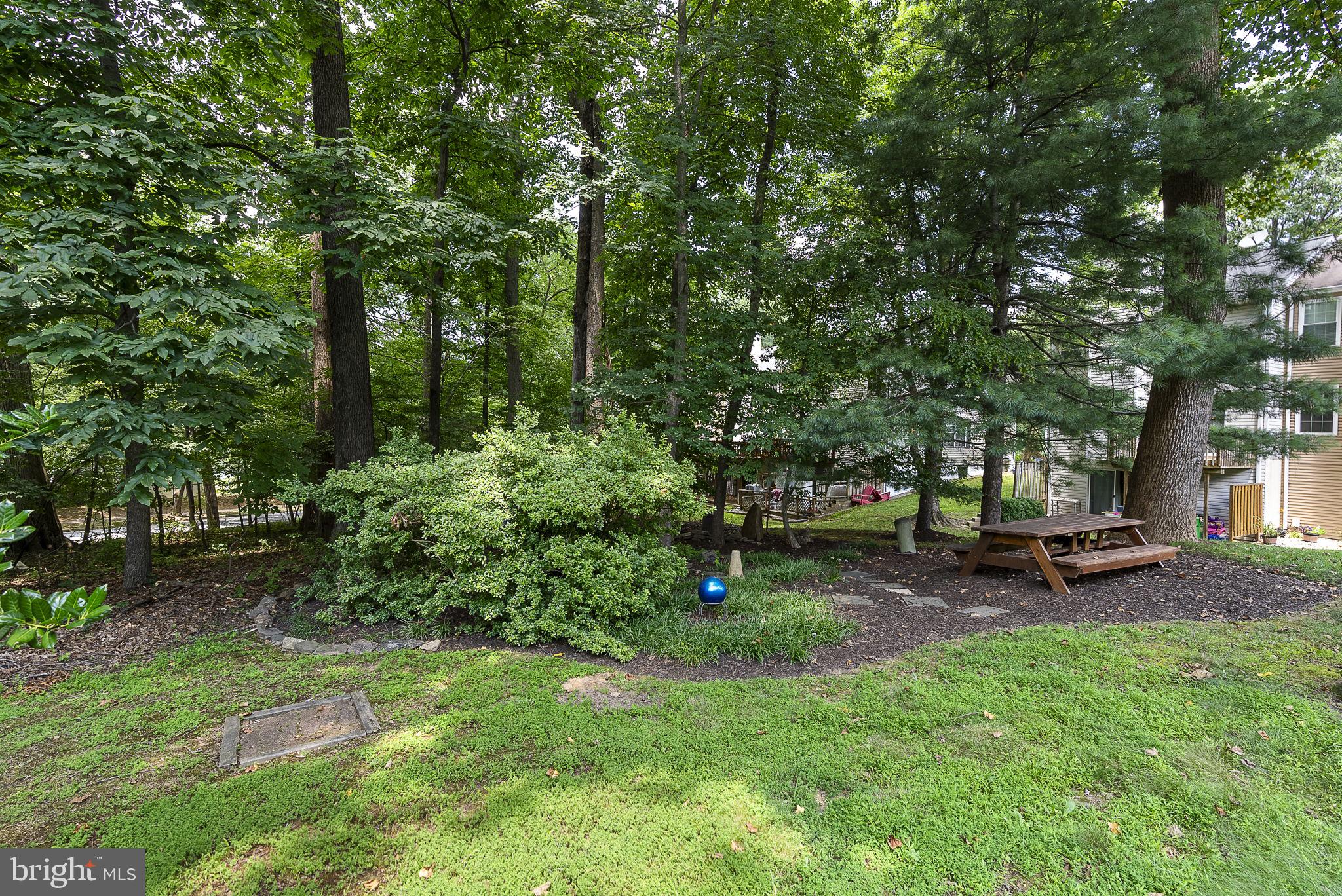 11705 LONE TREE COURT