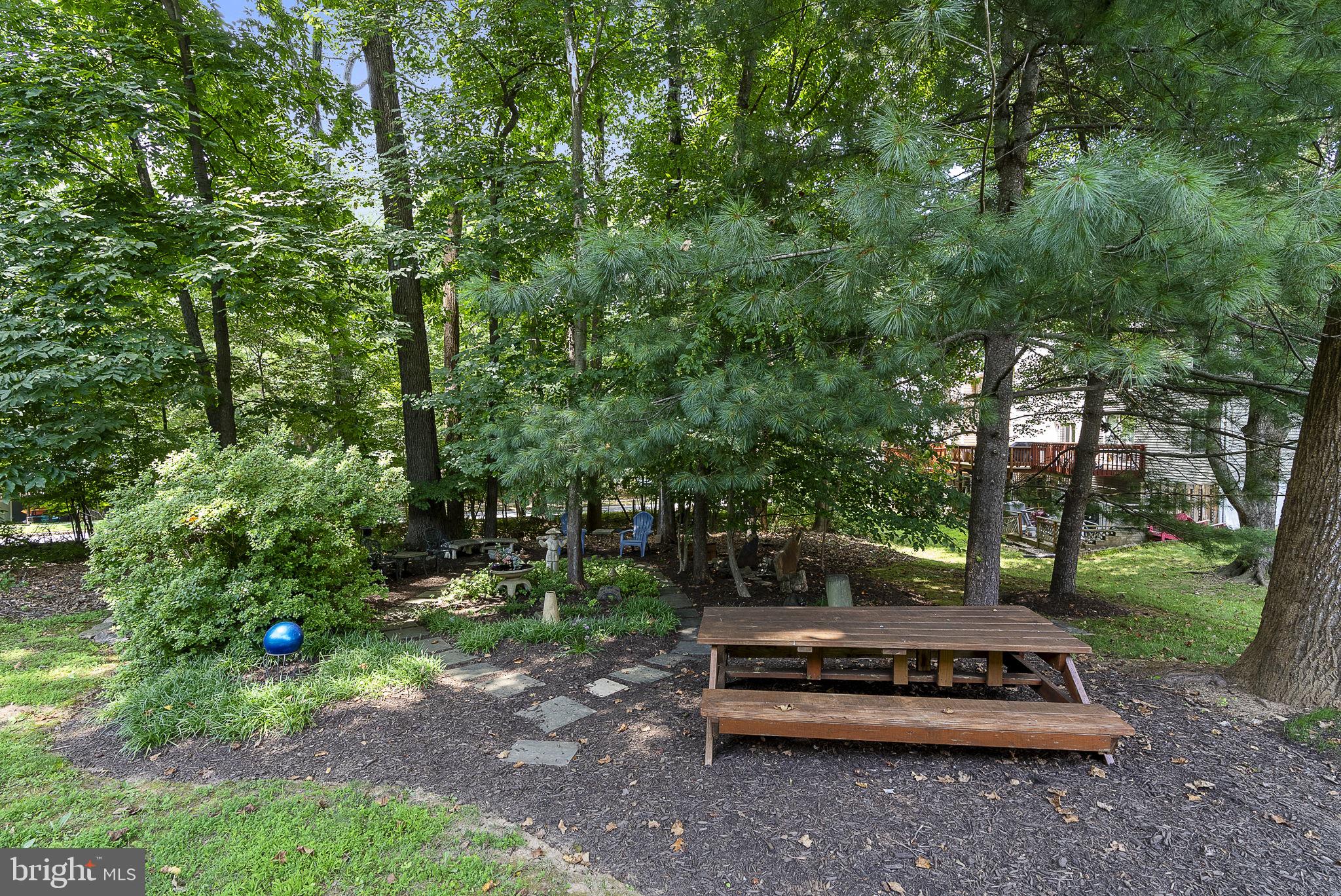 11705 LONE TREE COURT